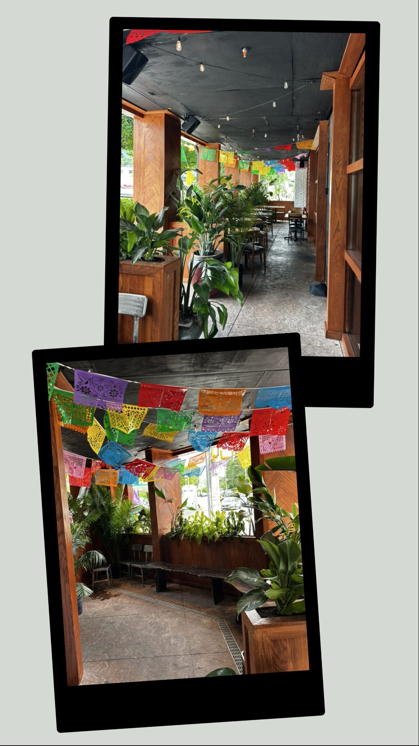 Celebrate Cinco de Mayo and Taco Tuesday the right way at Rreal Tacos!